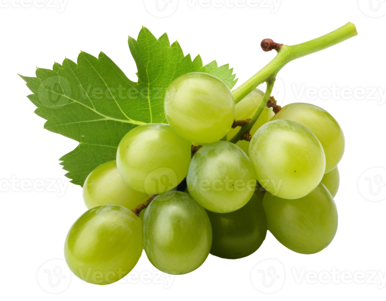 grape isolated on transparent background png