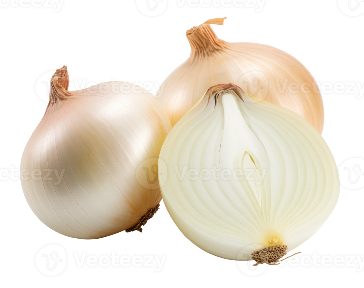 onions isolated on transparent background png