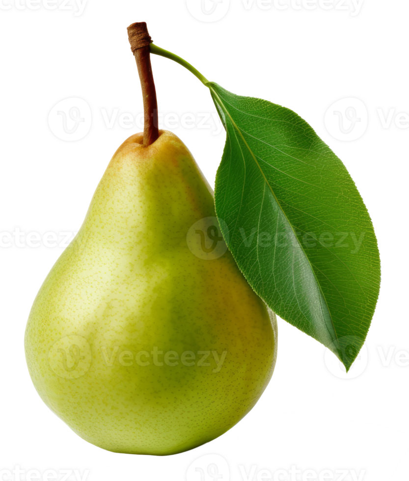 pear isolated on transparent background png