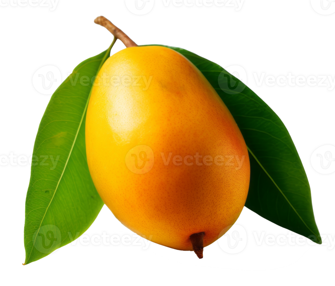 mango isolated on transparent background png