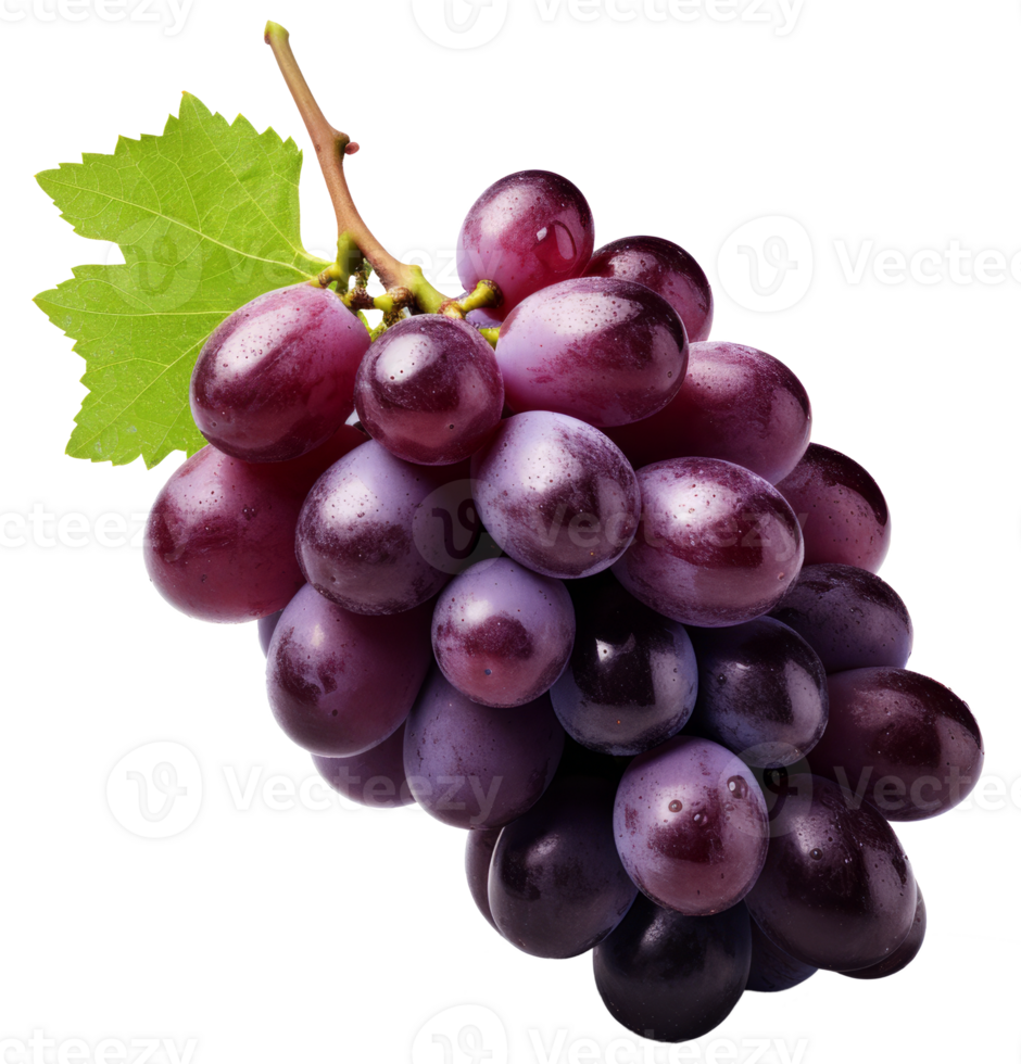 grape isolated on transparent background png