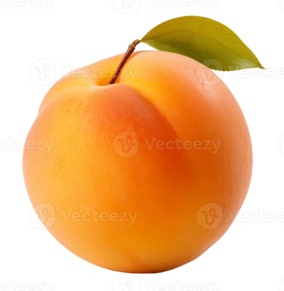 apricot isolated on transparent background png