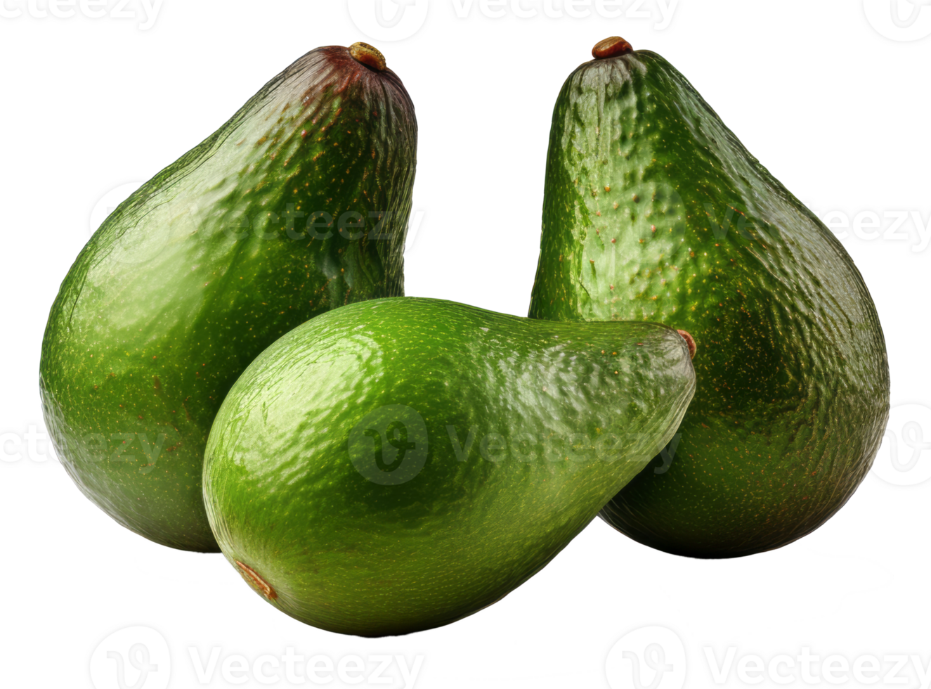avocado isolated on transparent background png