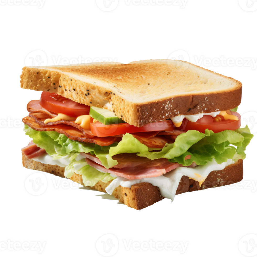 sandwich meat cheese and vegetables with transparent background png
