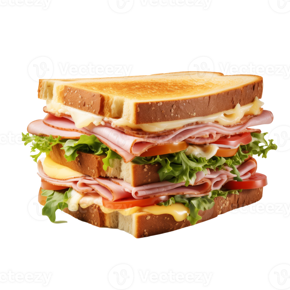 sandwich meat cheese and vegetables with transparent background png