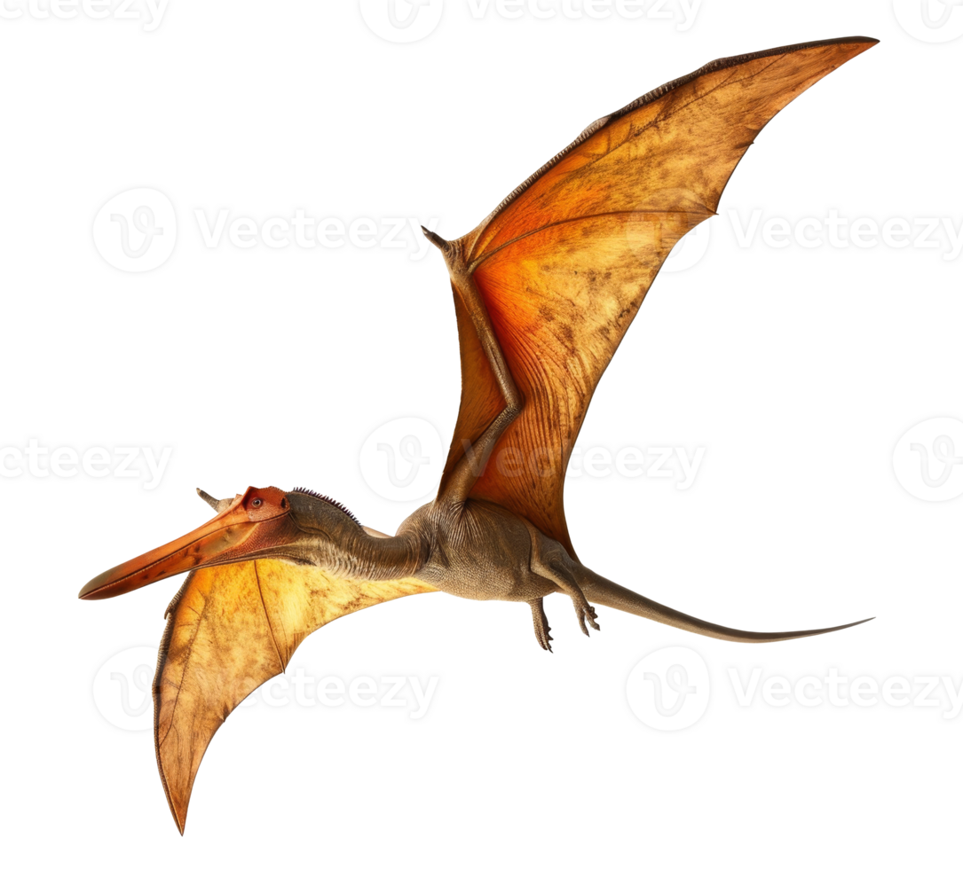 pteranodon dinosaurio aislado en transparente antecedentes png