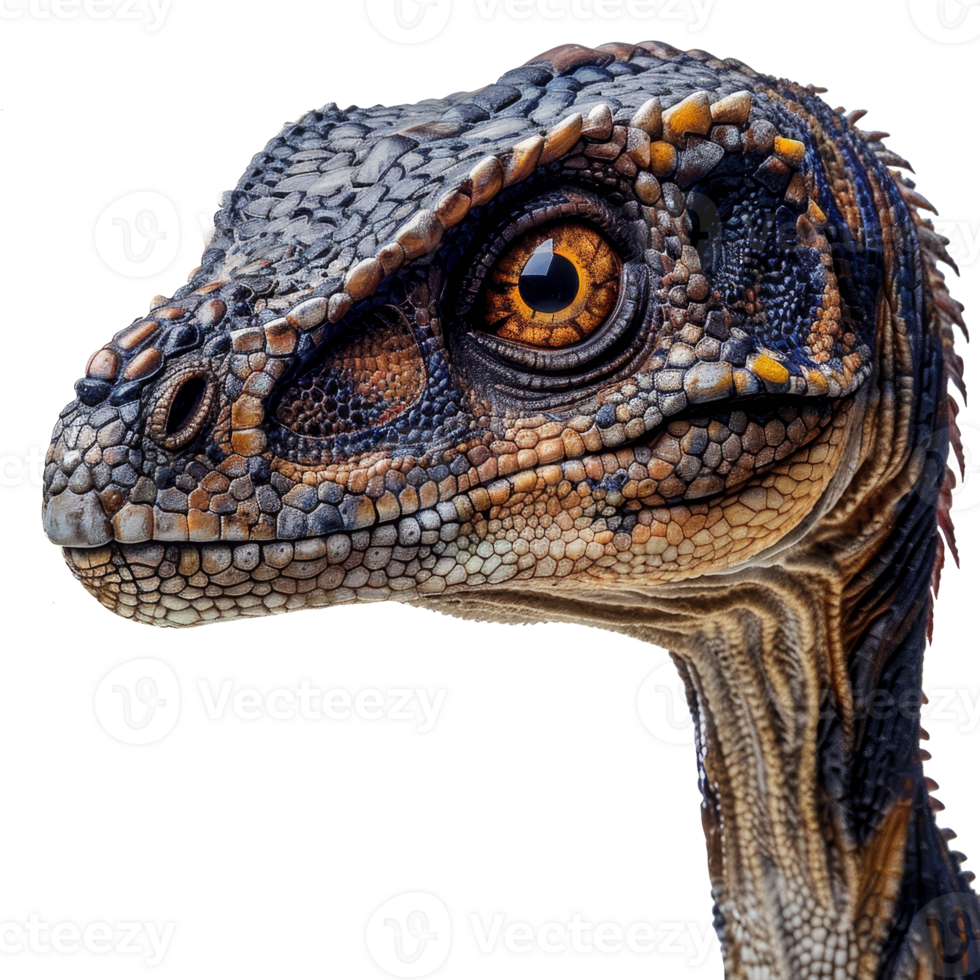 raptor dinosaur isolated on transparent background png