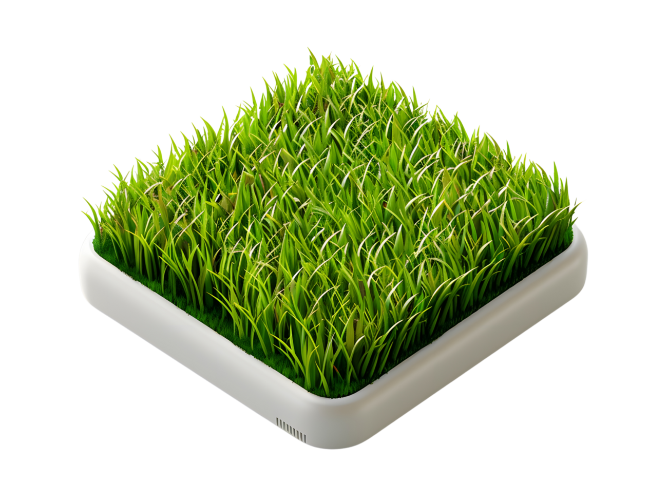 3d illustration box of rice fields png