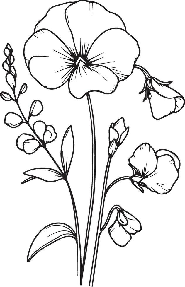 Hand-drawn botanical summer elements natural collection, sweet pea line art for coloring page, Realistic flower coloring pages, swwet pea flower outline, sweet black tattoo, vector