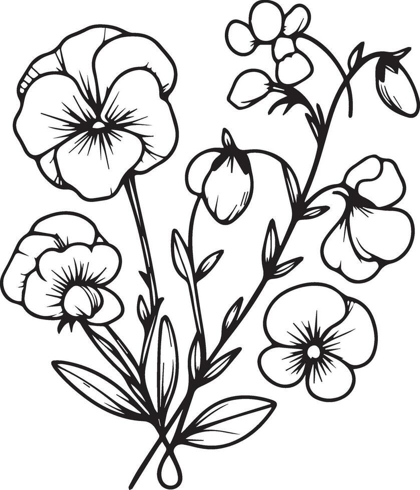 pintado a mano dulce guisante colorante páginas, bosquejo, lápiz Arte dulce guisante flor, Clásico floral diseño flores silvestres con colorante libro para adultos, flor racimo dibujo, relajación flor colorante paginas vector