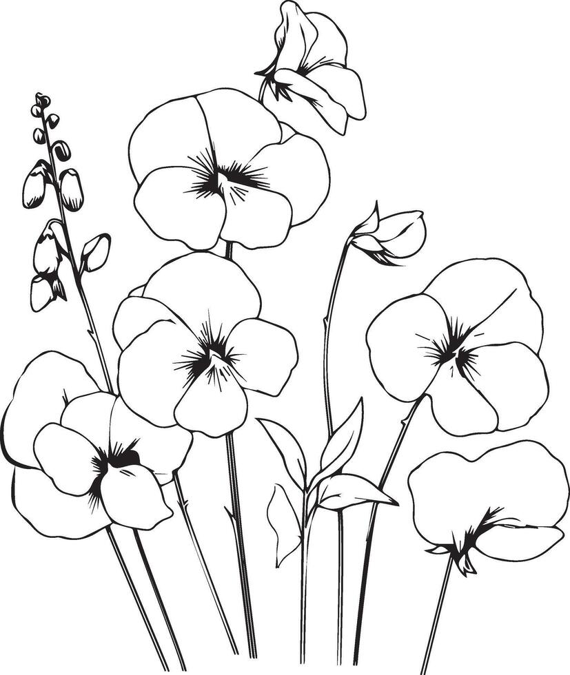 nacimiento flor dulce flwoer garabatear ramo de flores de flor diseño para tarjeta o impresión. pintado a mano dulce guisante flores ilustración aislado en blanco antecedentes, grabado tinta Arte floral colorante paginas vector