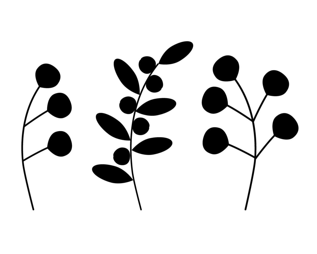 resumen silueta botánico ramas con hojas y bayas en minimalista estilo conjunto de 3 aislar vector