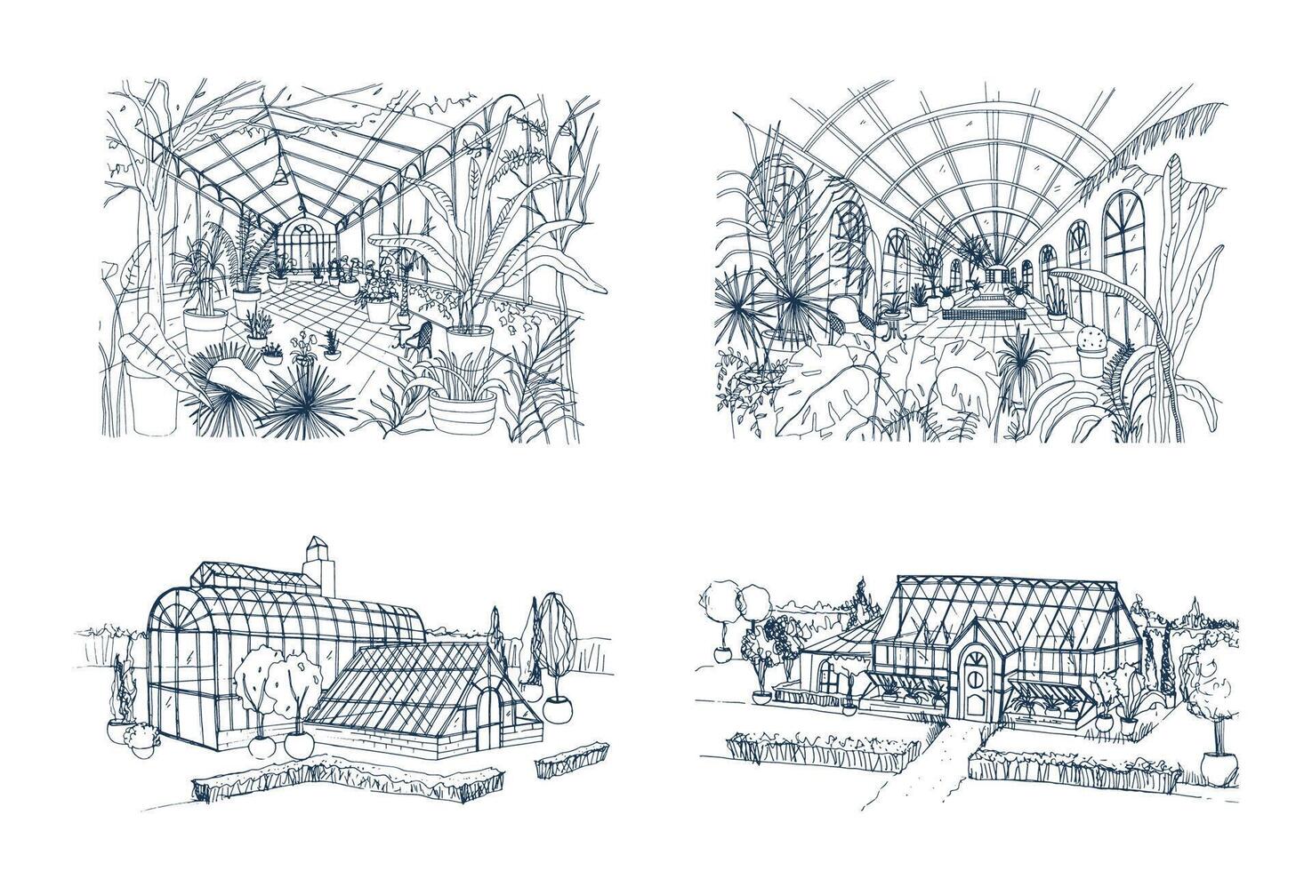 Bundle of freehand drawings of greenhouses full of jungle plants. Set of sketches of glasshouses with palm exotic trees growing in pots. Interior and exterior views. Monochrome illustration. vector