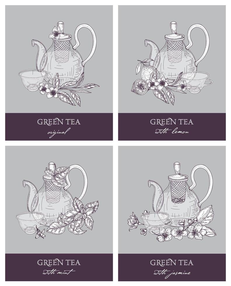 Bundle of gorgeous outline drawings of teapot, cup, green tea leaves, flowers, lemon, mint and jasmine. Set of delicious naturally flavored beverages. illustration in retro etching style. vector