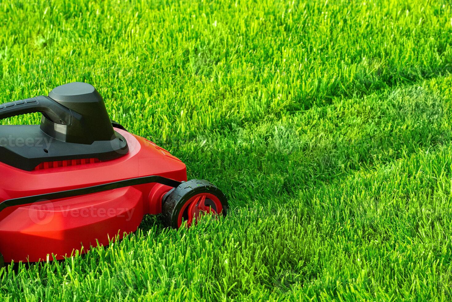 The lawnmower mows the grass. Working tool for lawn care. photo