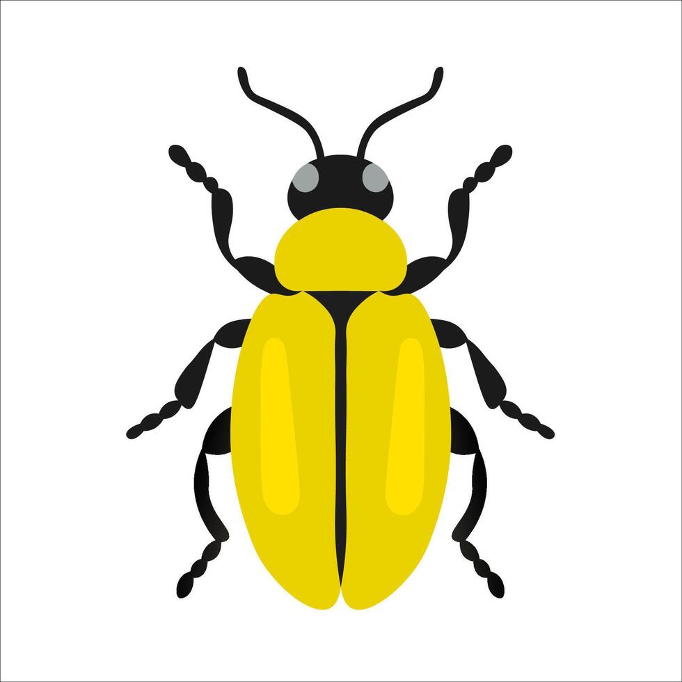animals insect yellow black fly vector