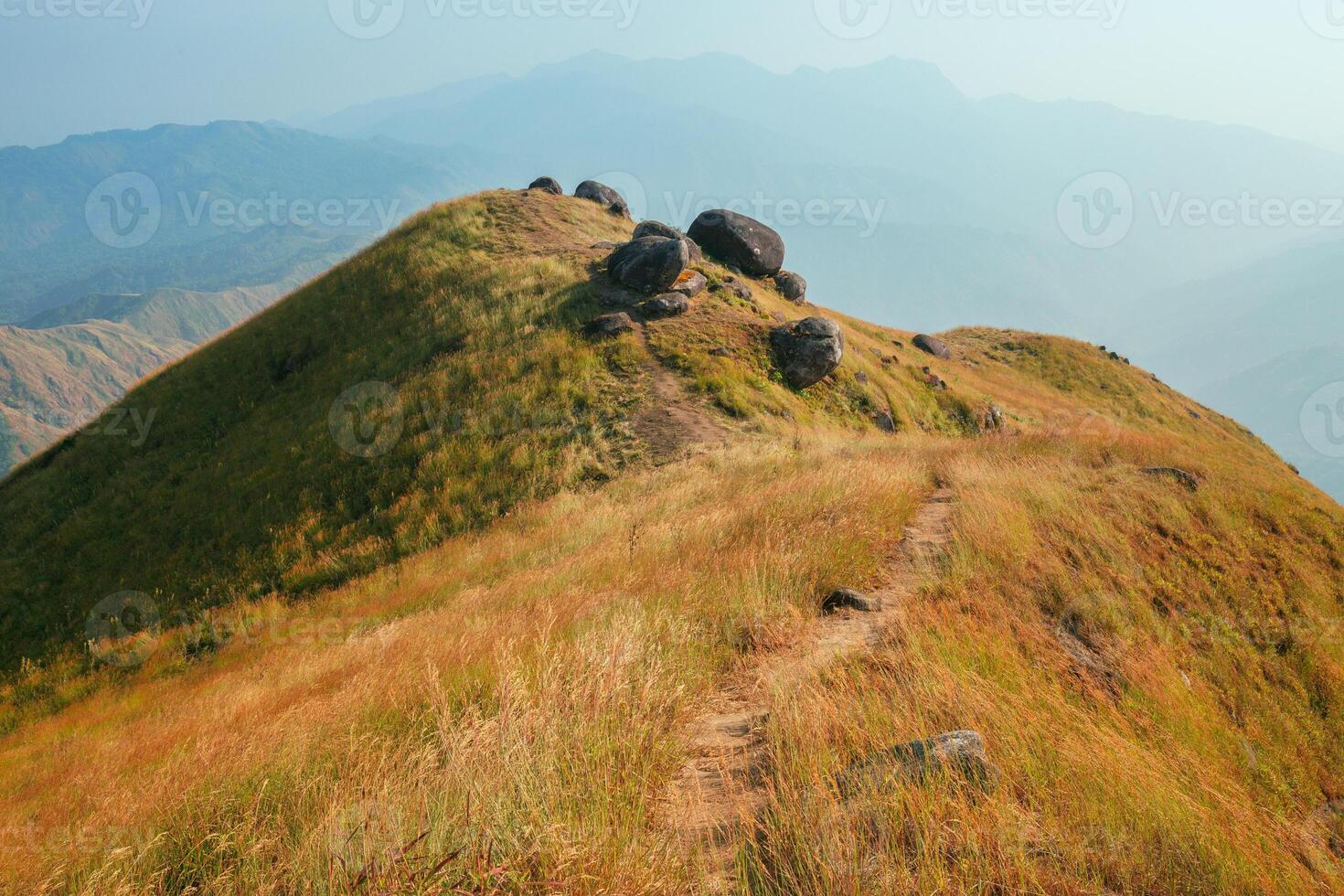 A mountain view full of grass In the evening photo