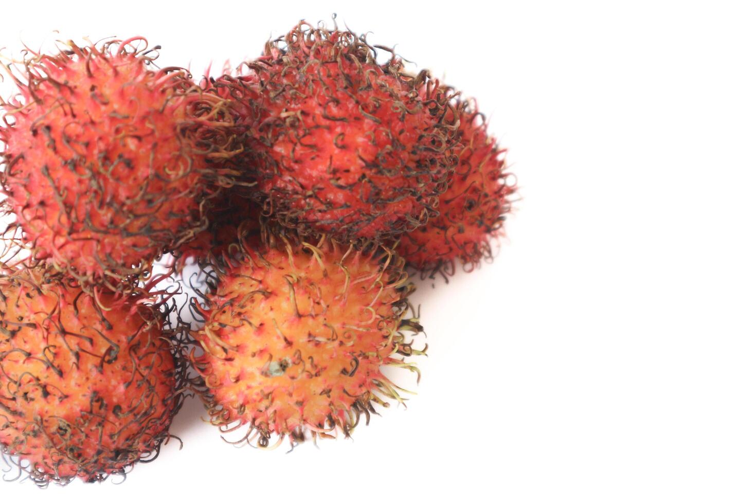 Rambutan taxonomic name, Nephelium lappaceum is a medium sized tropical tree in the Sapindaceae family photo