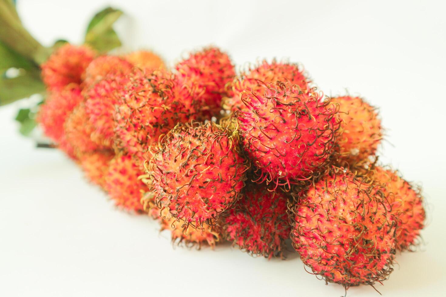 Rambutan taxonomic name, Nephelium lappaceum is a medium sized tropical tree in the Sapindaceae family photo