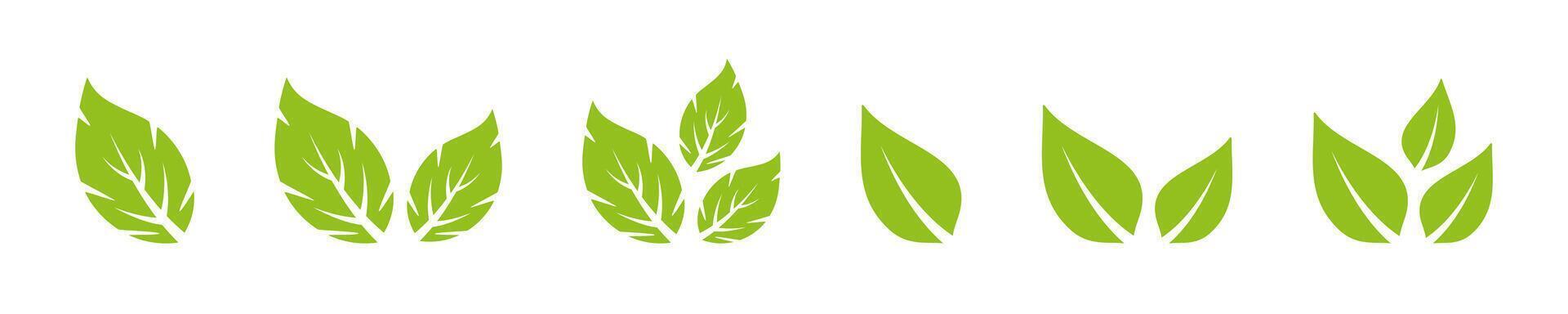 Leaves icons. leaves. Leaf icon set vector