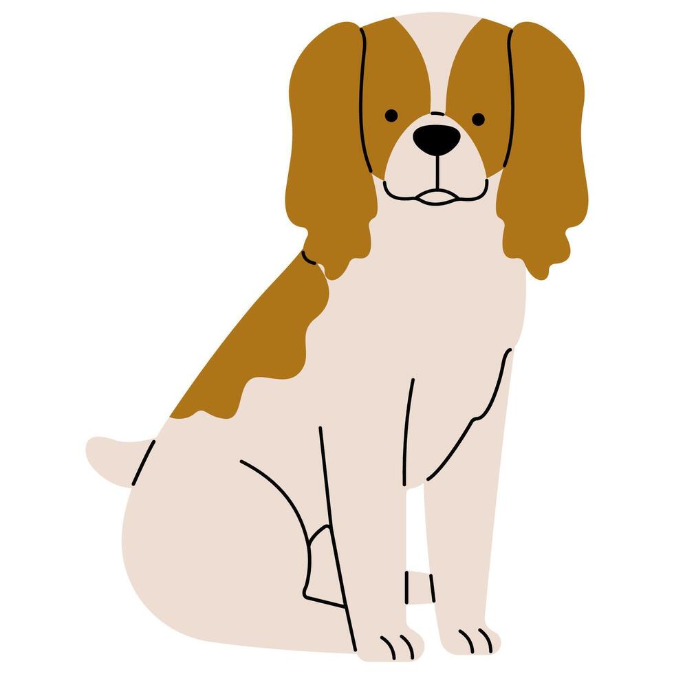 cocker spaniel linda en un blanco fondo, ilustración. vector