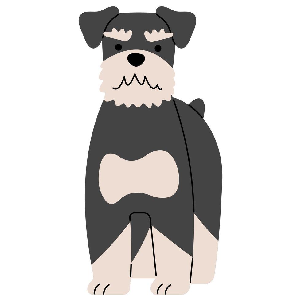 Schnauzer linda en un blanco fondo, ilustración. vector