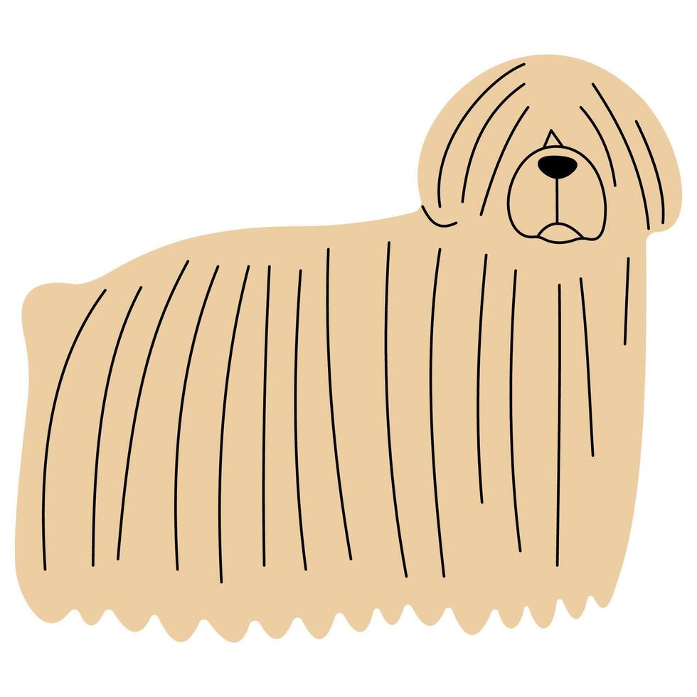 Puli cute on a white background, illustration. vector