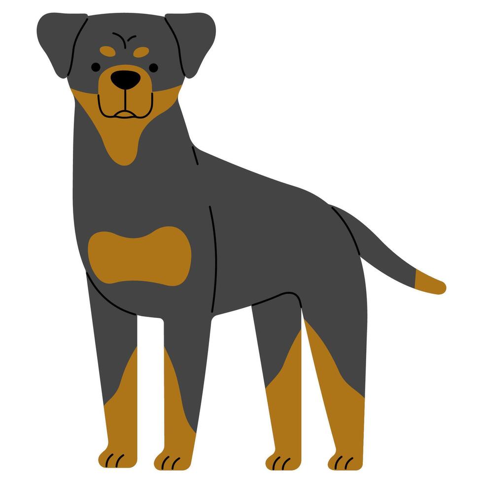 Rottweiler linda en un blanco fondo, ilustración. vector