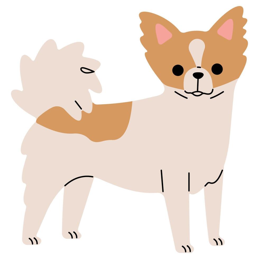 Papillon cute on a white background, illustration. vector
