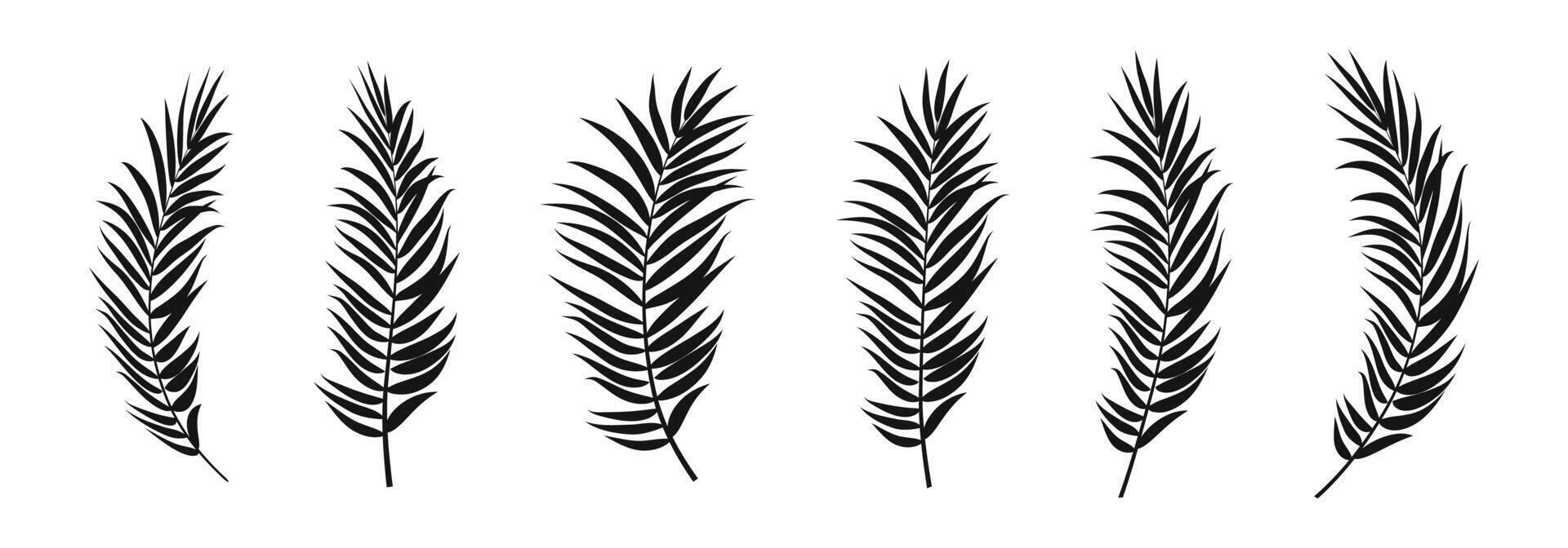 Palm twigs black silhouette set. Branches with leaves natural collection. vector