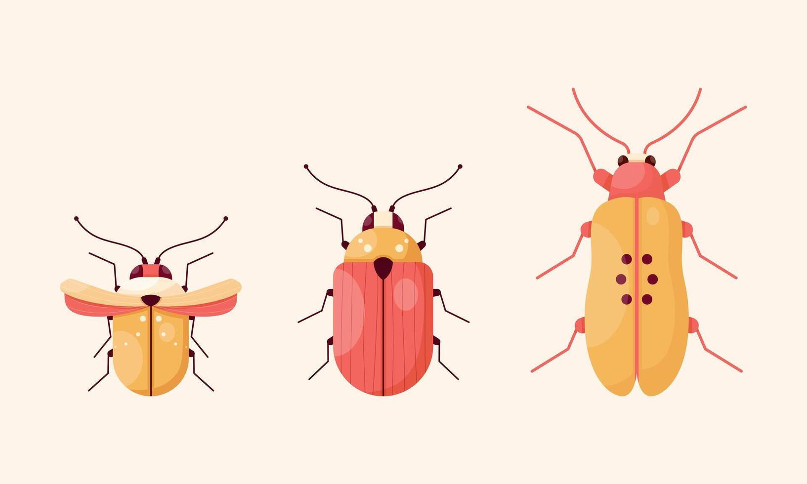 Insects. set of beetles of different shapes vector
