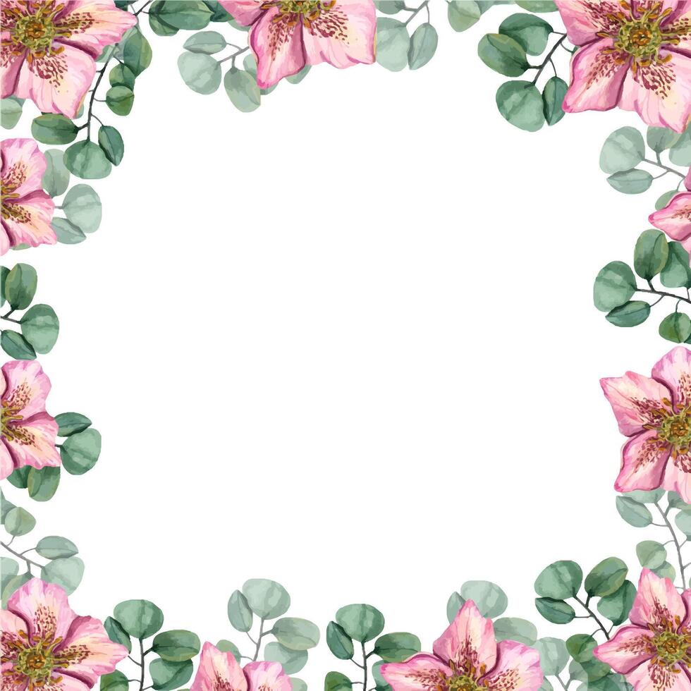 Square frame with pink hellebores, eucalyptus branches. Green leaves and spring flowers. Watercolor illustration for postcard design, invitation, wedding cards. Space for text. vector