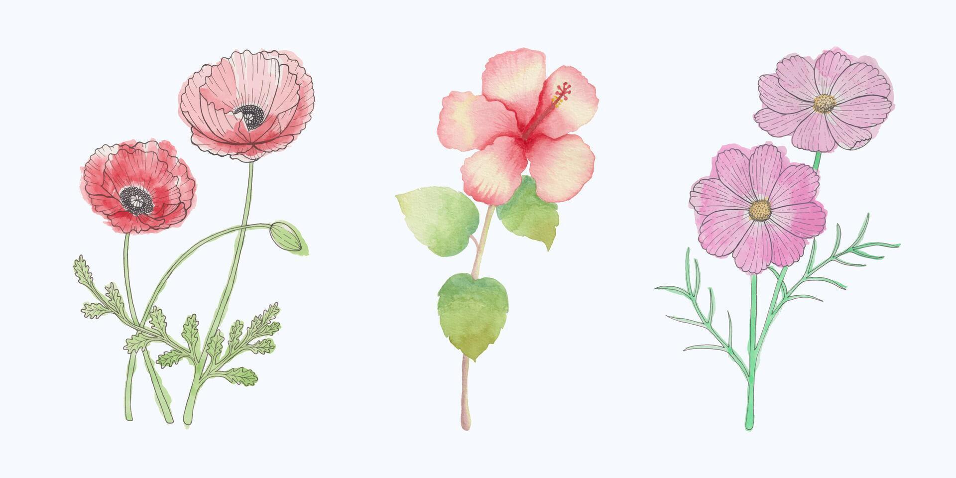 Hand-Drawn Blooming Flower - Spring Flower Illustration vector