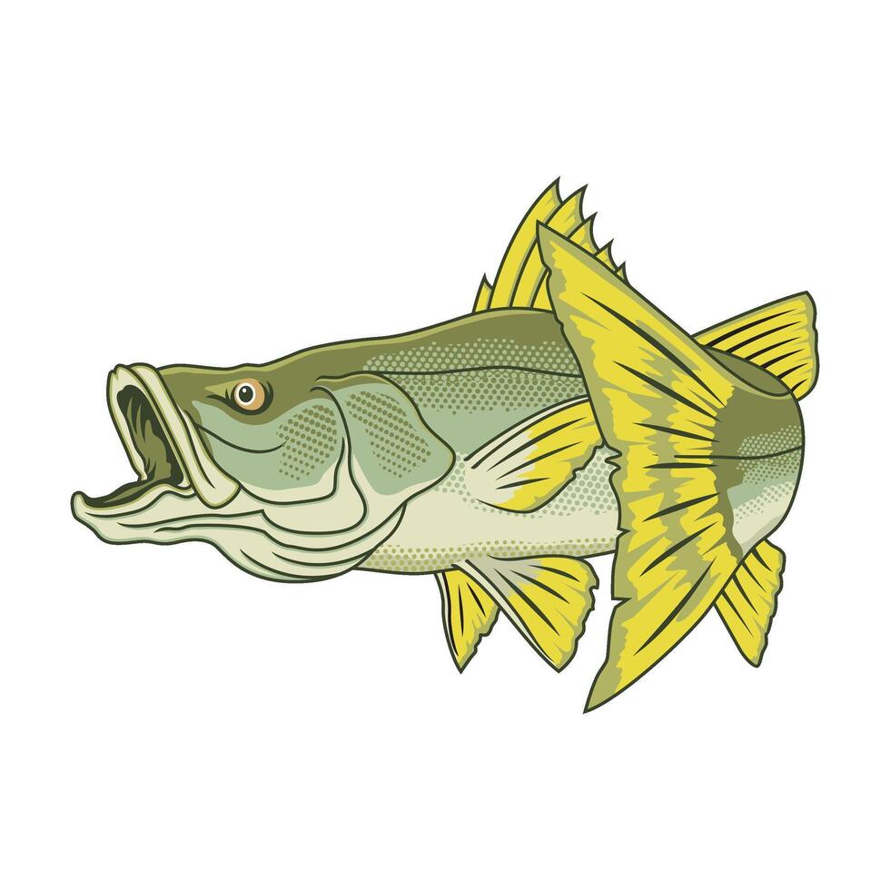 snook fishing illustration logo image t shirt vector