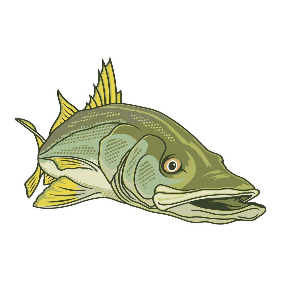 snook fishing illustration logo image t shirt vector