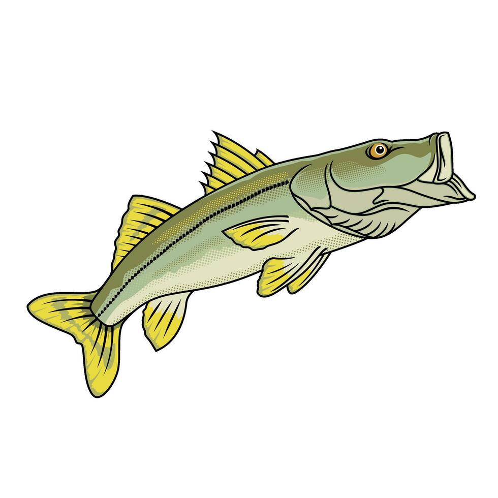 snook fishing illustration logo image t shirt vector