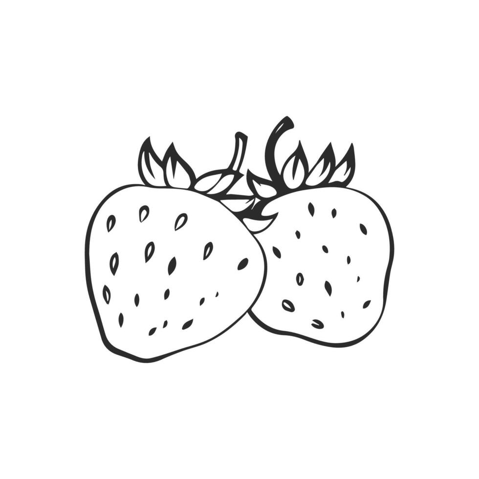 Simple linear black ink hand drawn strawberry. Sketch outline illustration. vector