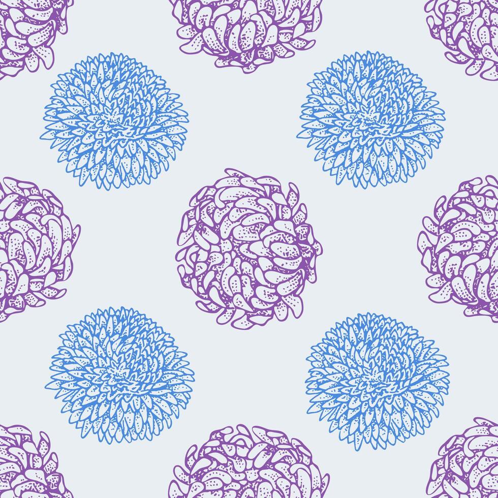 Seamless pattern with asters. Hand drawn illustration. vector