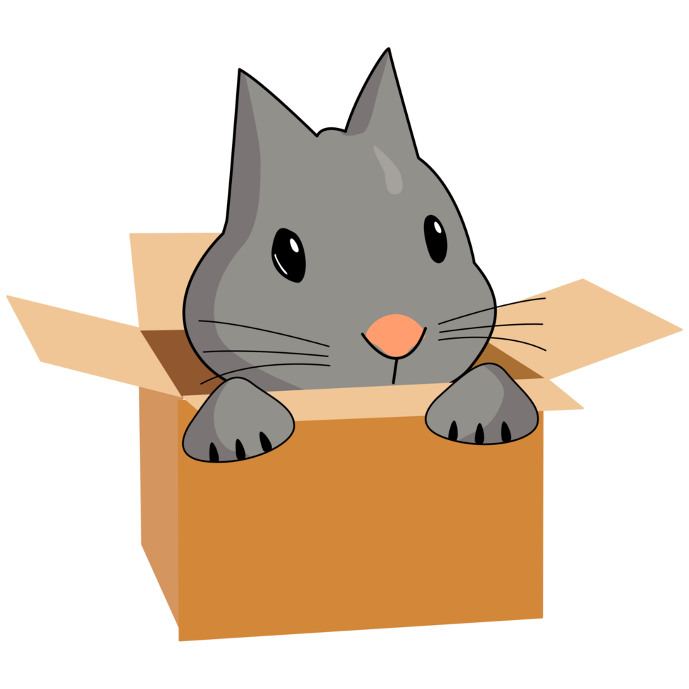 Cute Bunny in cardboard box. Cat is looking out of a box. png