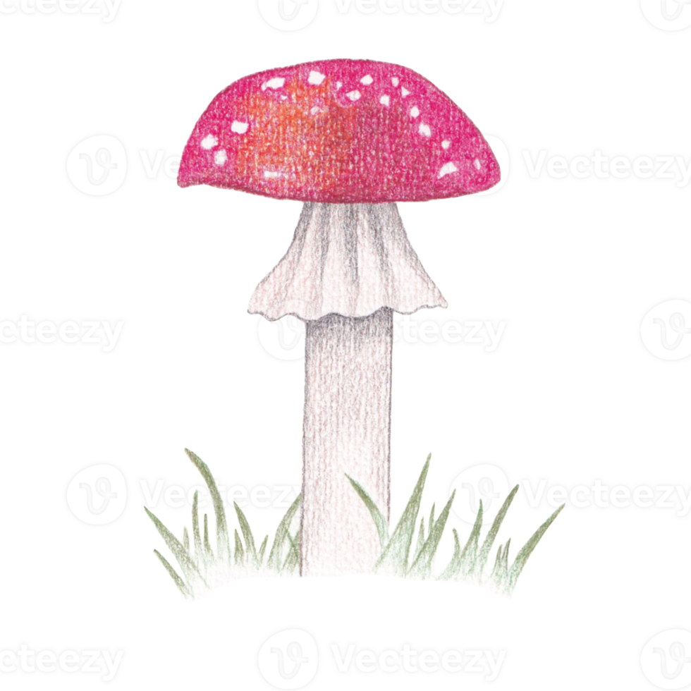 söt vattenfärg vegetabiliska ClipArt - ladda ner friska mat konst png