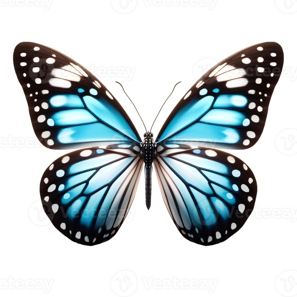 Butterfly isolated on transparent background png