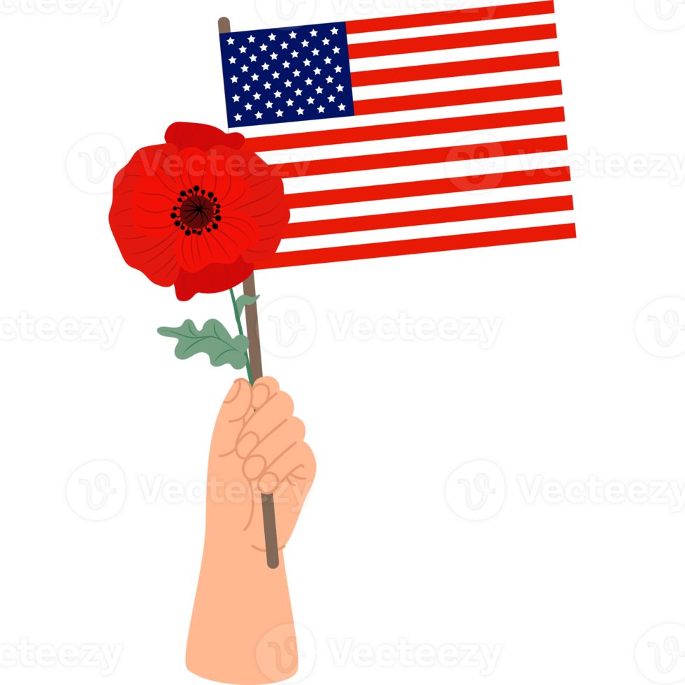Hand with American flag and red poppy png