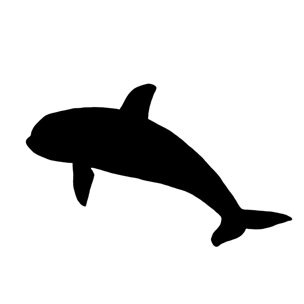 Black Whale Illustration - Whale Clip Art png