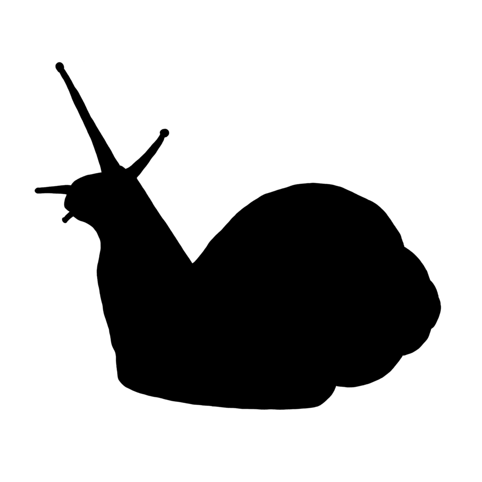 Black Snail Drawing - Cute Snail - Snail Clip Art png