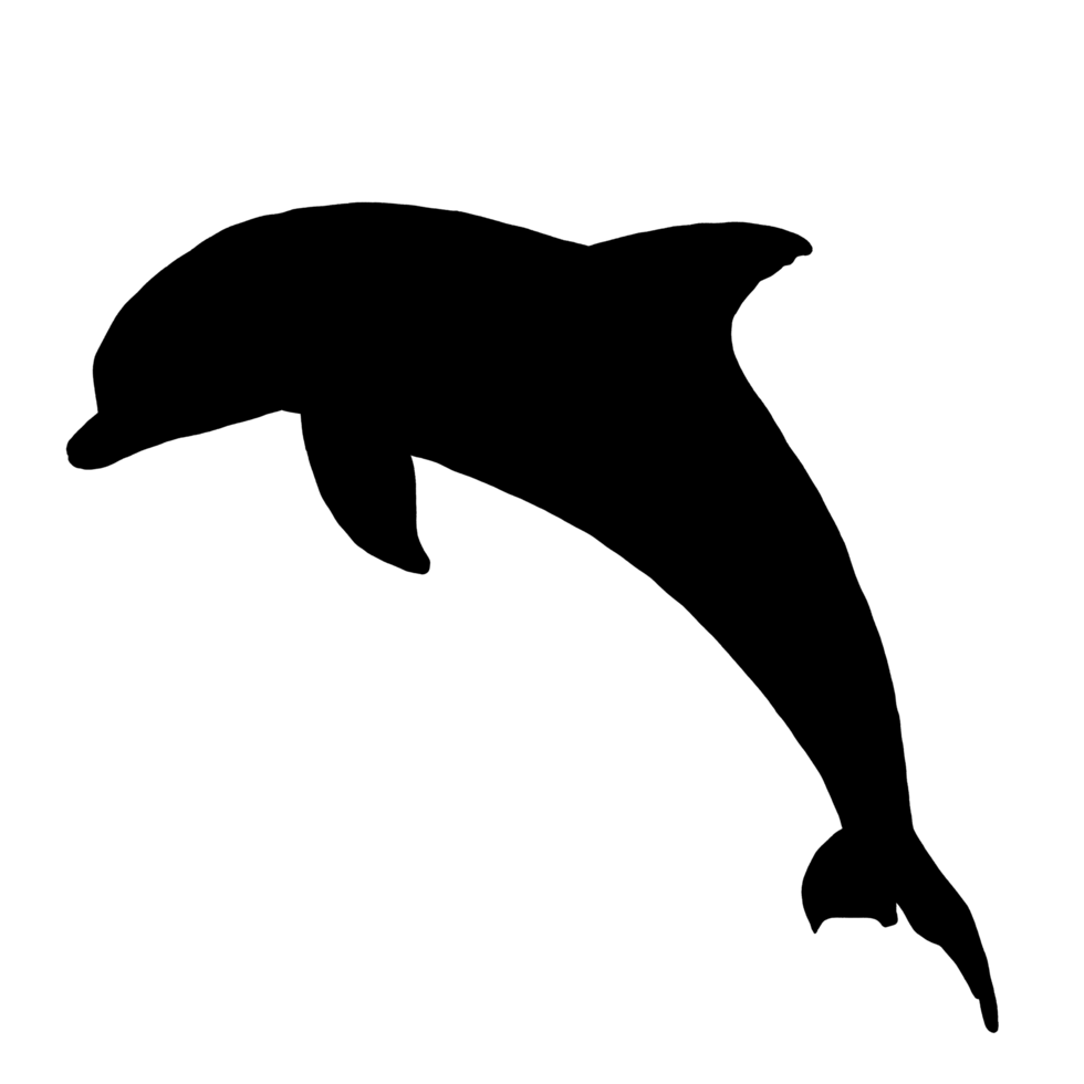 Black Dolphin Illustration - Dolphin Clip Art - Dolphin Drawing png