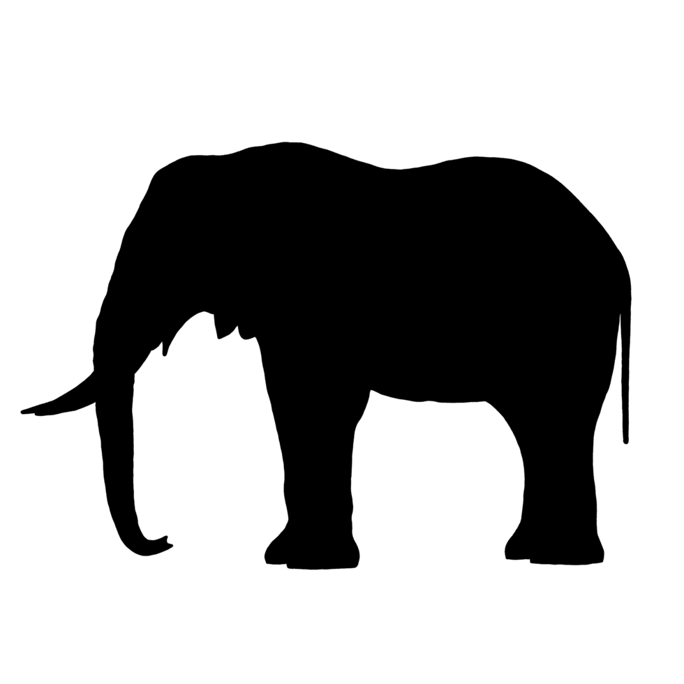 svart elefant - elefant teckning - elefant illustration png