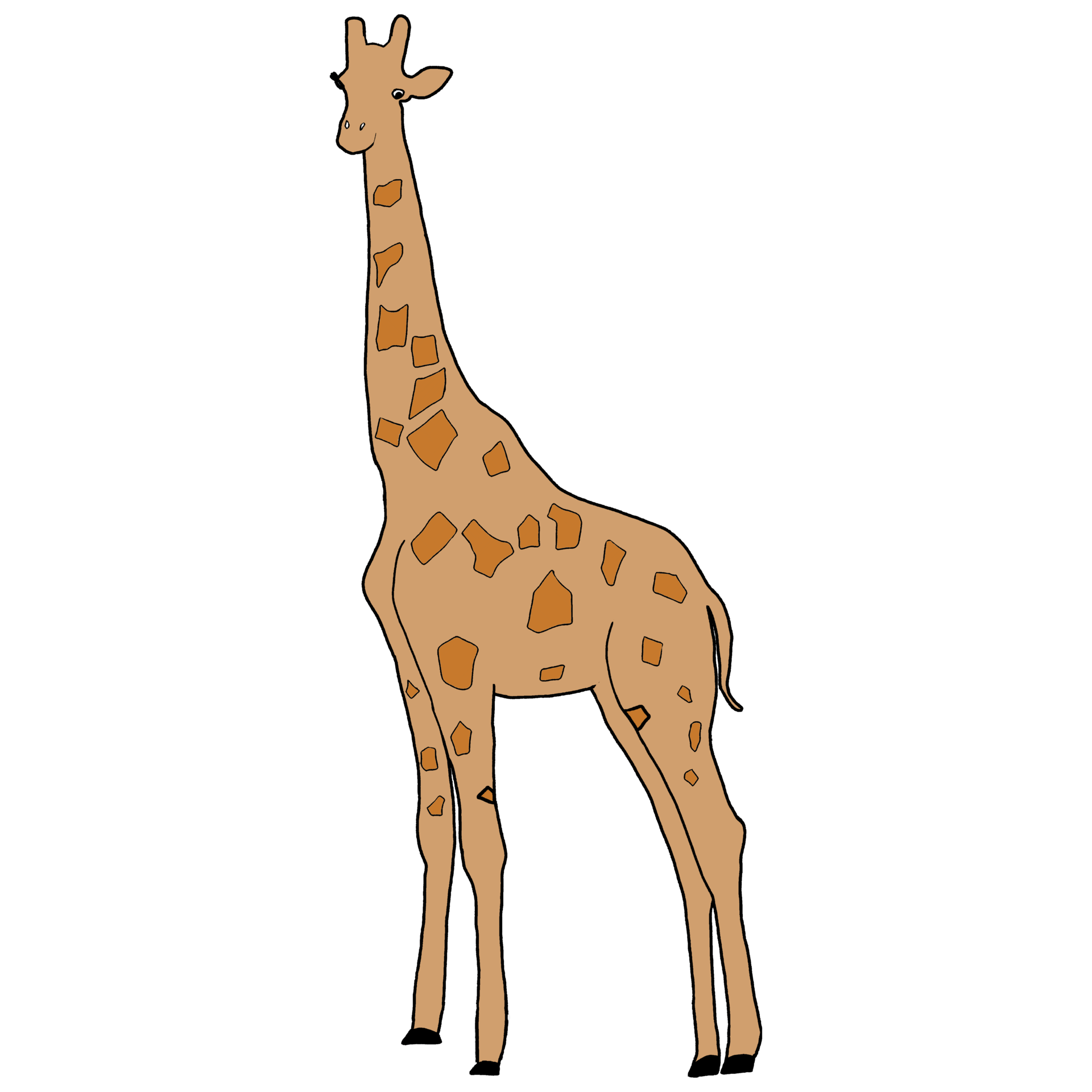 Cute Giraffe Illustration - Giraffe Clip Art - Giraffe Drawing 44315229 PNG