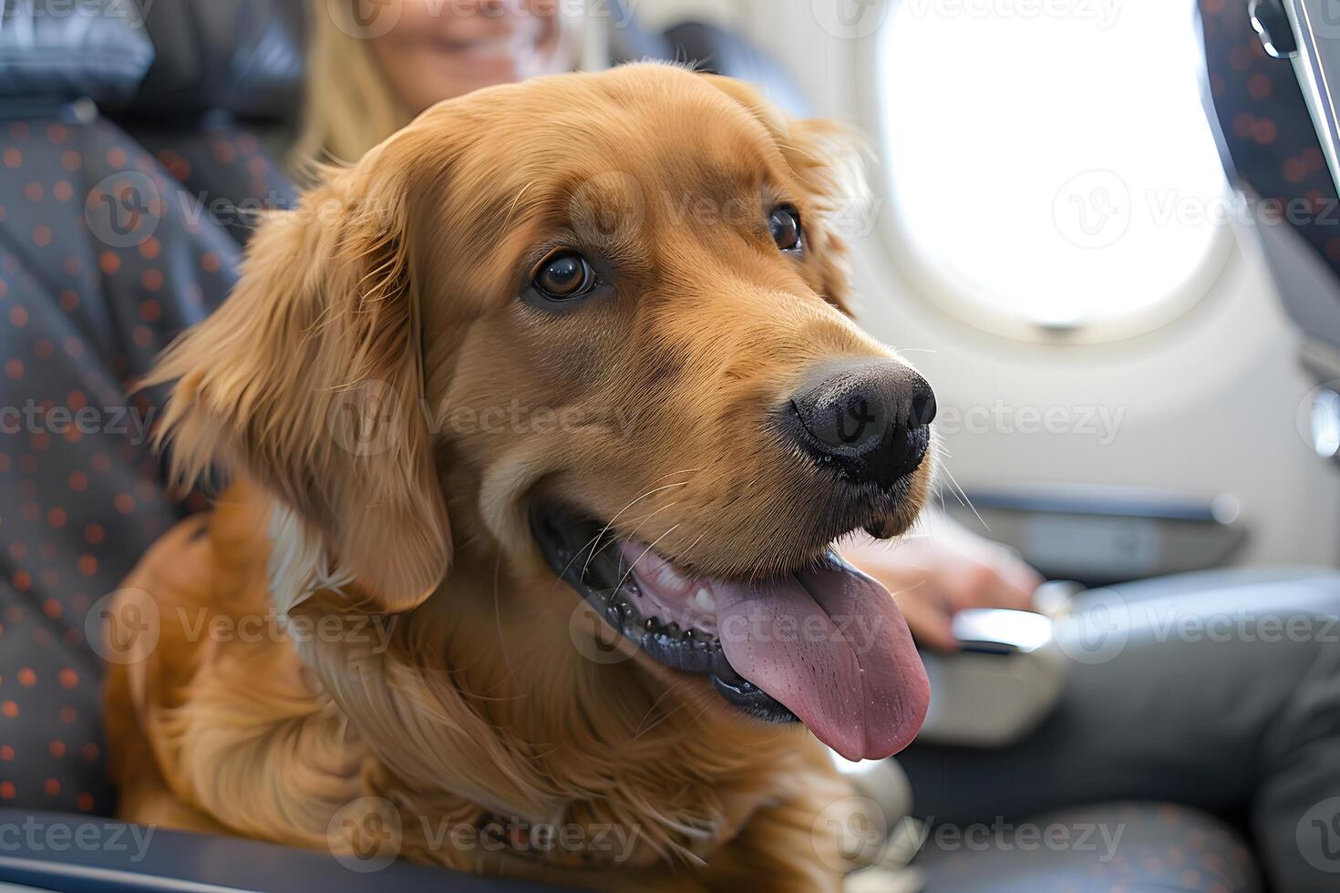 Dog Seated on Airplane. Generative-AI photo