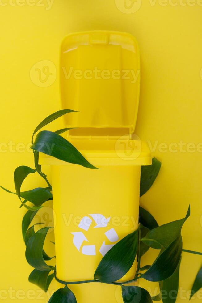 Yellow Trash Can Next to Green Plant photo