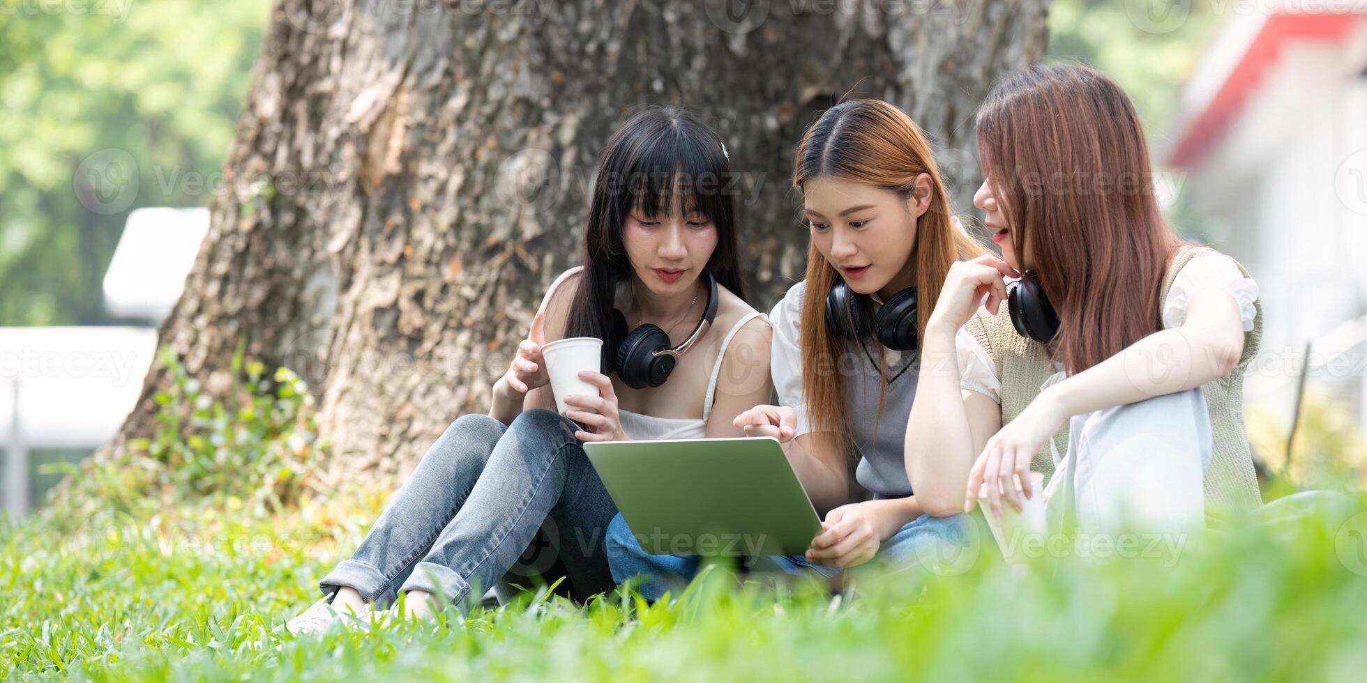 College student having discussion under tree on campus, preparing for exam, learning and reading books together photo